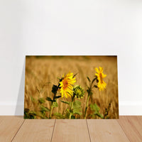 2d994e5f-2847-49d3-8ea3-df9cda06683f