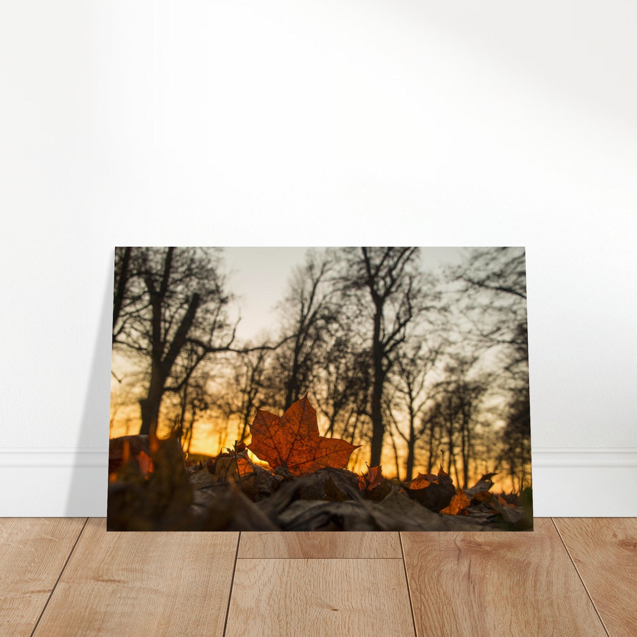 2e36ede8-79b4-414b-a8c3-53773b92ebbc