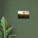 2f7e6a61-edc2-49cc-b14a-ddb315ad9146