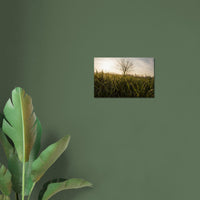 2f7e6a61-edc2-49cc-b14a-ddb315ad9146