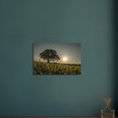 2f845c68-7105-4897-b55f-b99c3a222006