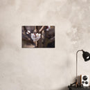 2fbd27be-eac8-47e0-976c-2a0f53360330