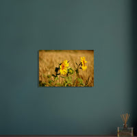 30aa2632-b4aa-4832-9955-d4419b9c48f8