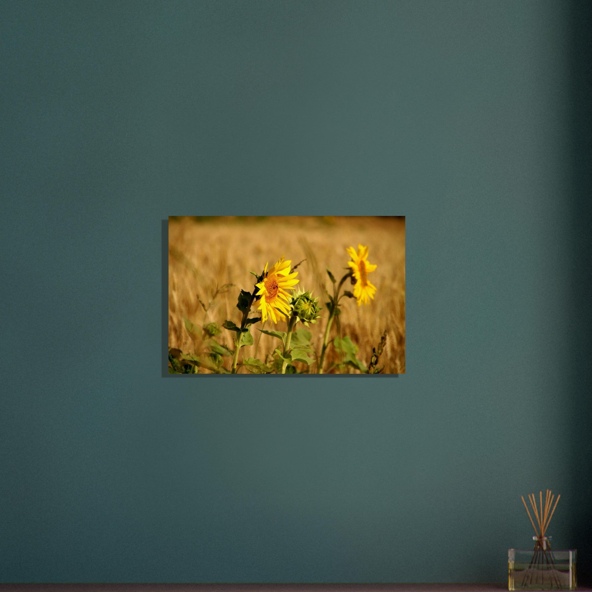 30aa2632-b4aa-4832-9955-d4419b9c48f8