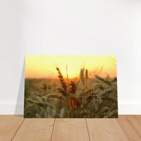 312d9bd2-16fe-4e1c-b5c9-f21cd12f27e9