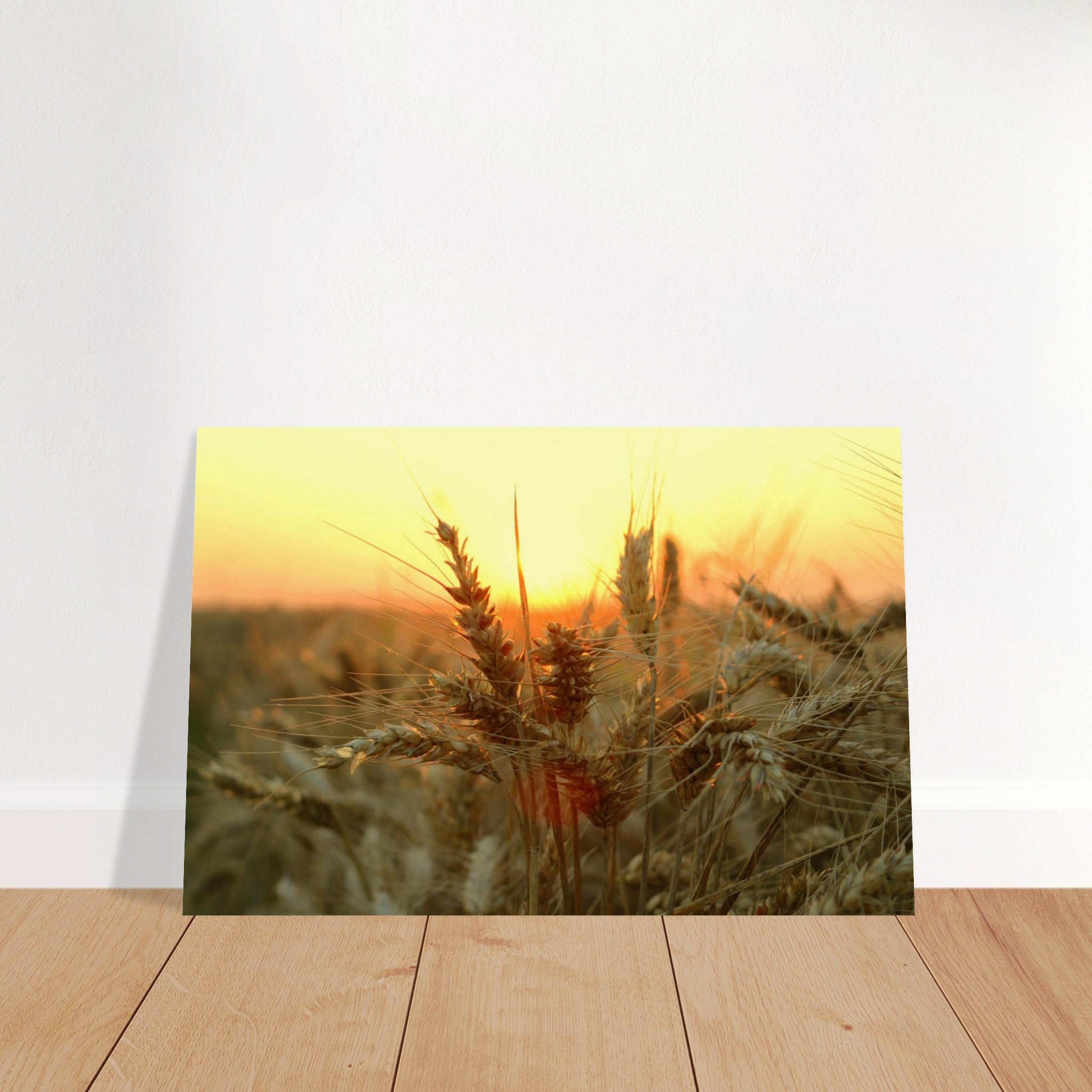 312d9bd2-16fe-4e1c-b5c9-f21cd12f27e9