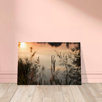 316583ba-6282-43f4-9c48-d62506b67d5e