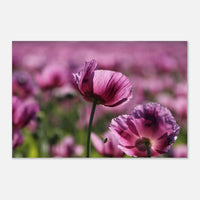 316b241d-ecdb-4224-9c25-6d8f38e84964