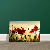 31b11549-f5f6-4106-8d1b-4c67bd62ae55