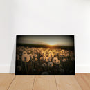 3278cf31-716b-4cbd-8a89-7bcaaa17749a