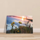 33c675c4-5559-40a6-9f48-7e323afd8525