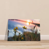 33c675c4-5559-40a6-9f48-7e323afd8525