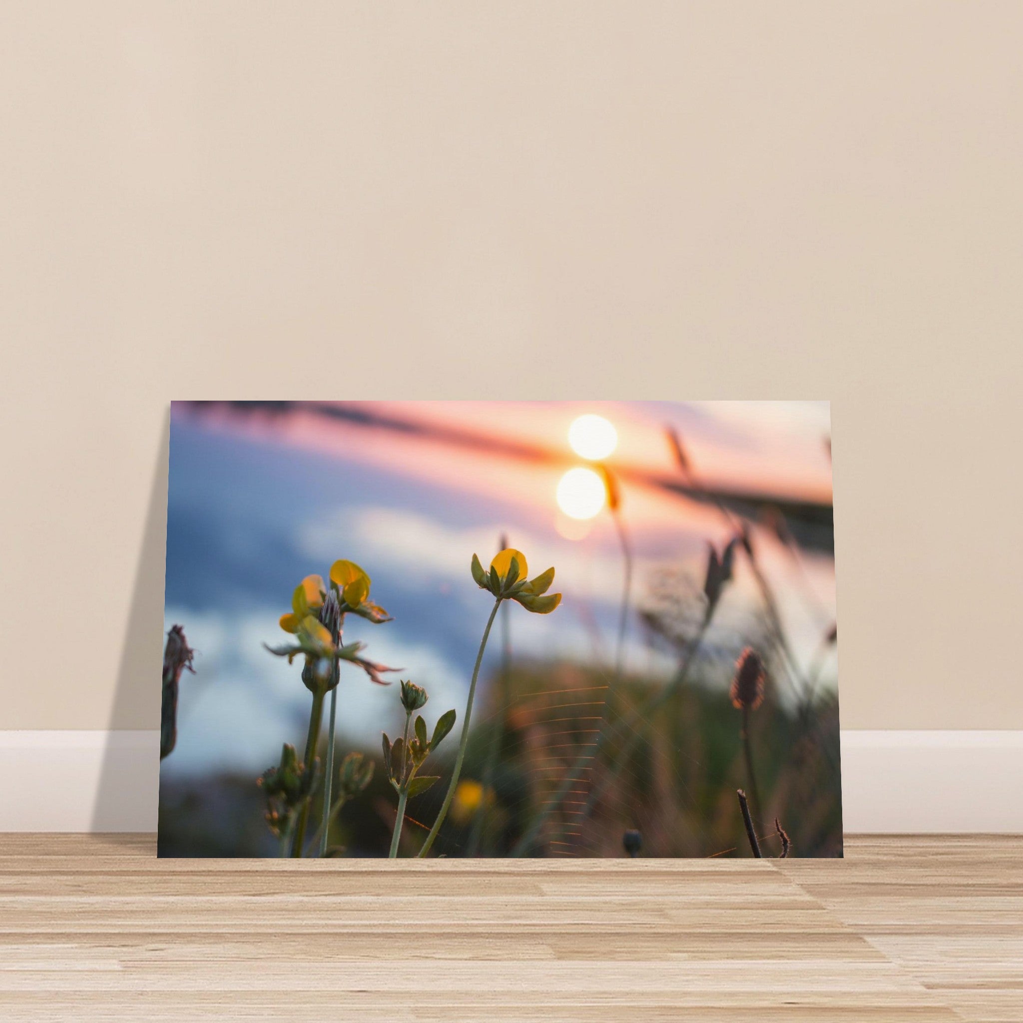 33c675c4-5559-40a6-9f48-7e323afd8525