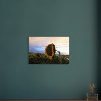 33fea3b8-4e89-4135-9337-2c91caf610fd