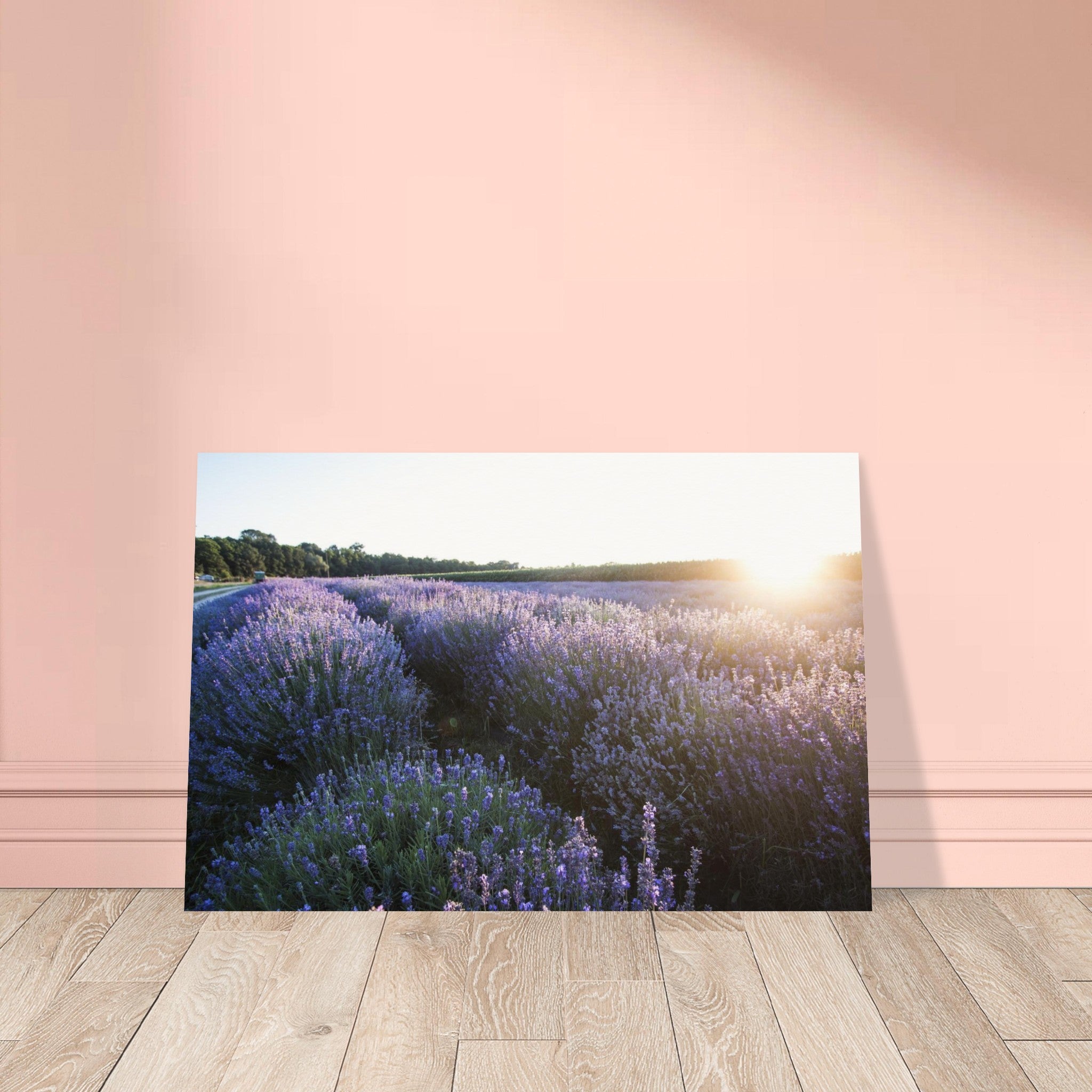 397b90b9-a1b3-4c01-977f-c86bc84e903a