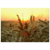 3a7c958c-eabb-428d-ae74-8dfa29cd1c80