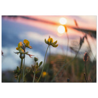 3cca9613-5129-4a78-b348-4514d12aae48