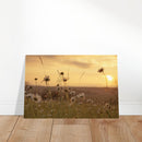 3fa3cdc7-0f33-4e2c-9cc2-99dbfddd88c8