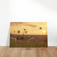 3fa3cdc7-0f33-4e2c-9cc2-99dbfddd88c8