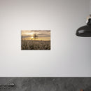 3fadc01a-bf2f-4a0b-89a3-1e5ab59fafb9