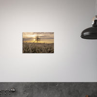 3fadc01a-bf2f-4a0b-89a3-1e5ab59fafb9