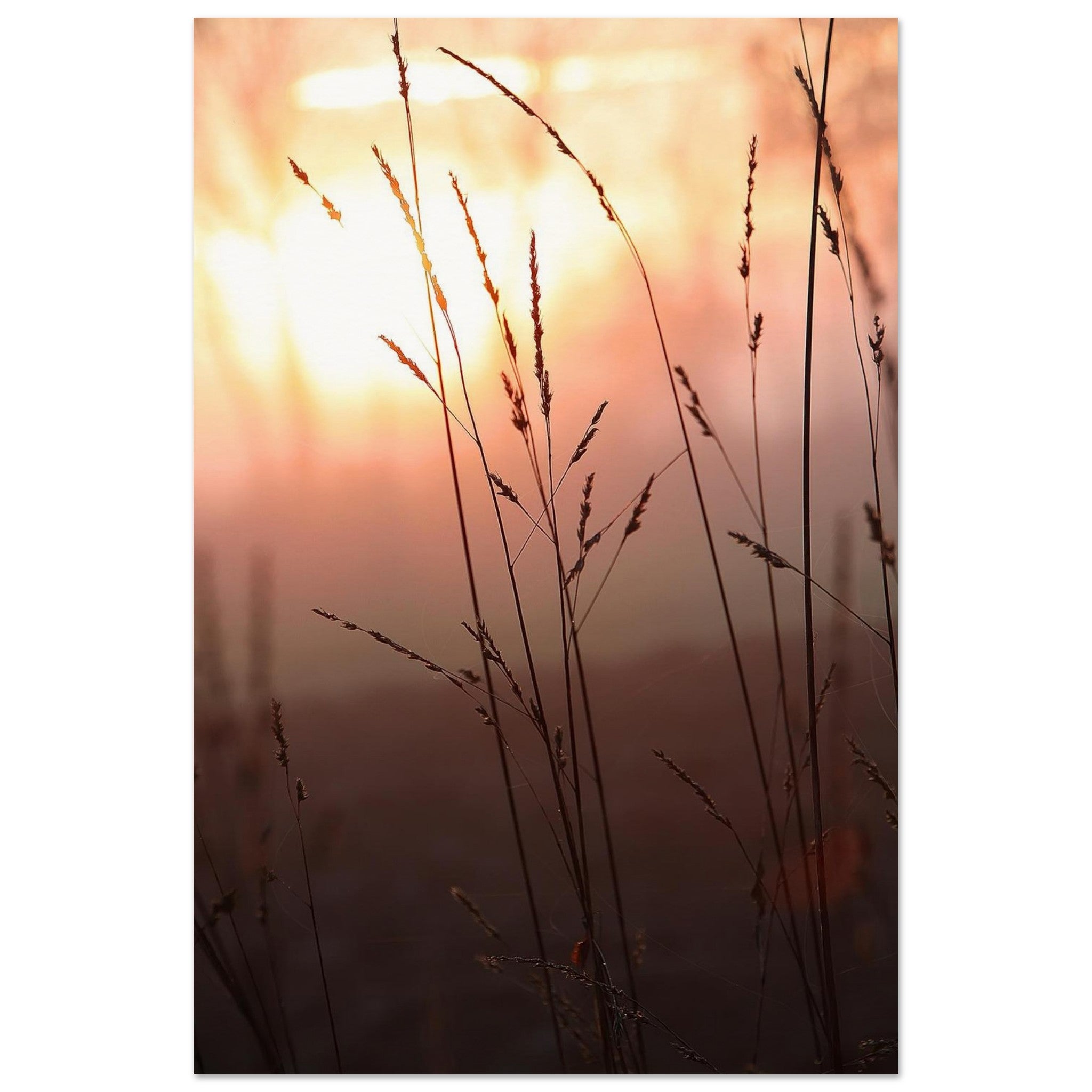 Grass Lines in Soft Fire — Nature Fine Art Poster | BETVA Wall Art