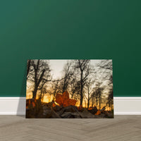 4056cb4a-4861-4f36-ae9a-3acbf8431fdd