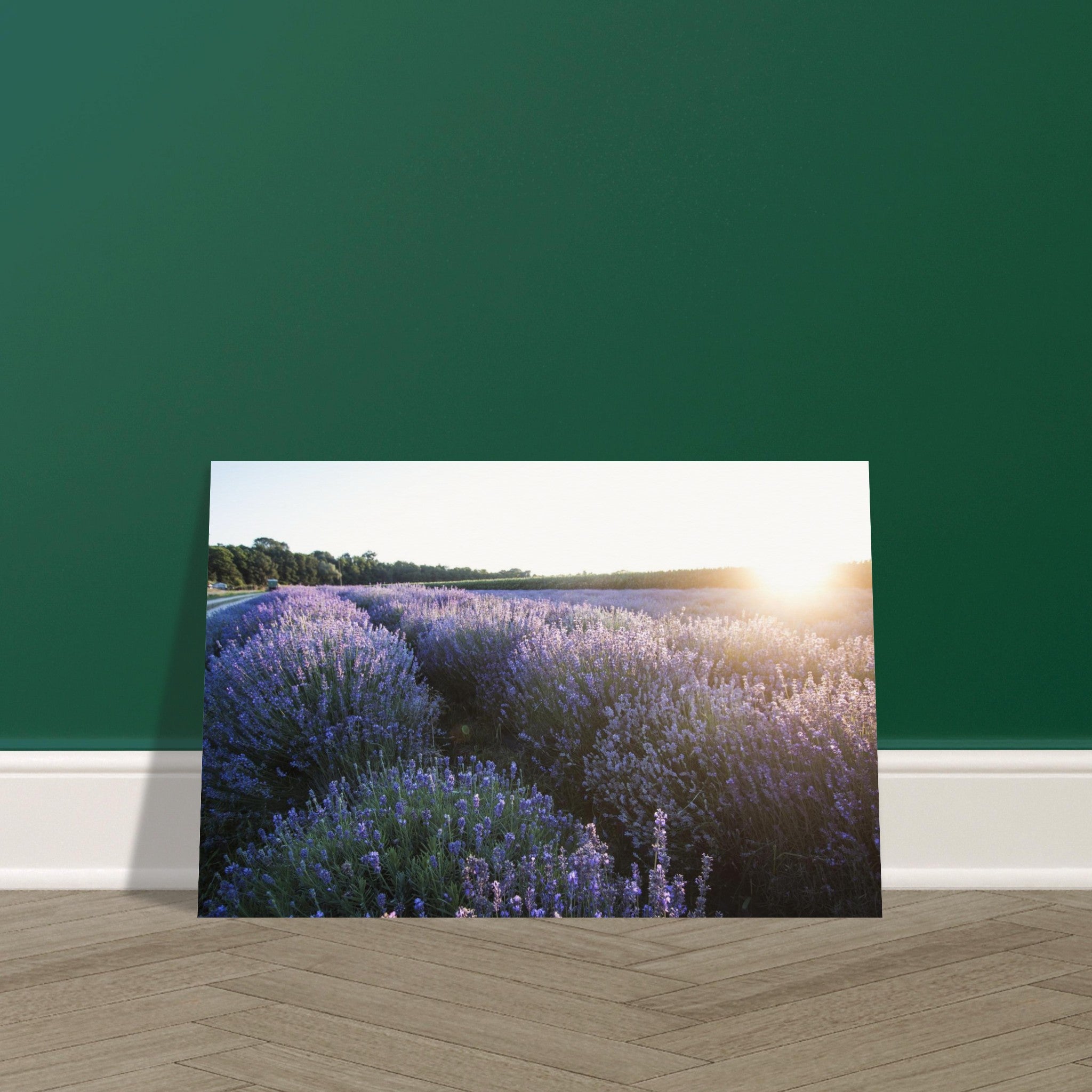 419350f2-8d33-406e-9e21-231270e2d162