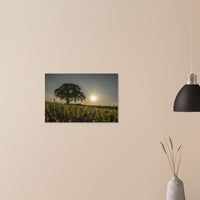 4420829c-74f7-40c9-ba7d-52b18171db7e