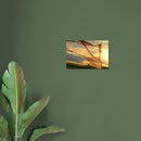 4779ccec-adff-4d19-a1ce-085b7efd2a10