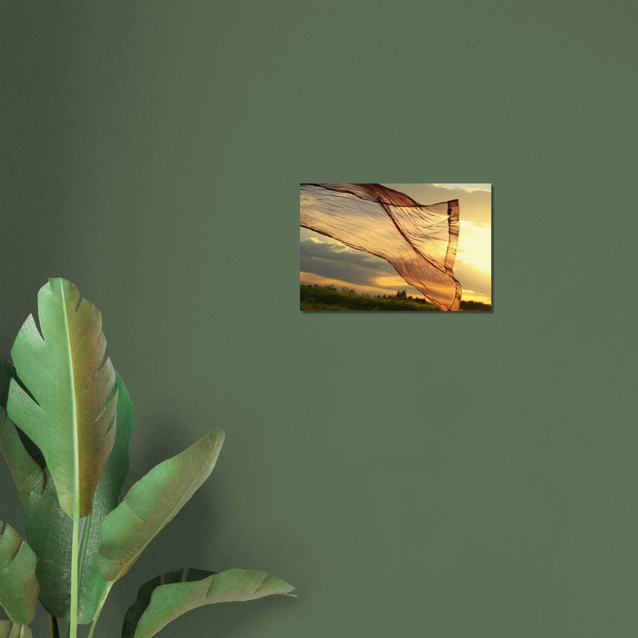 4779ccec-adff-4d19-a1ce-085b7efd2a10