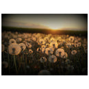 490f66d1-710f-4166-95f0-08f22fbcc8b4