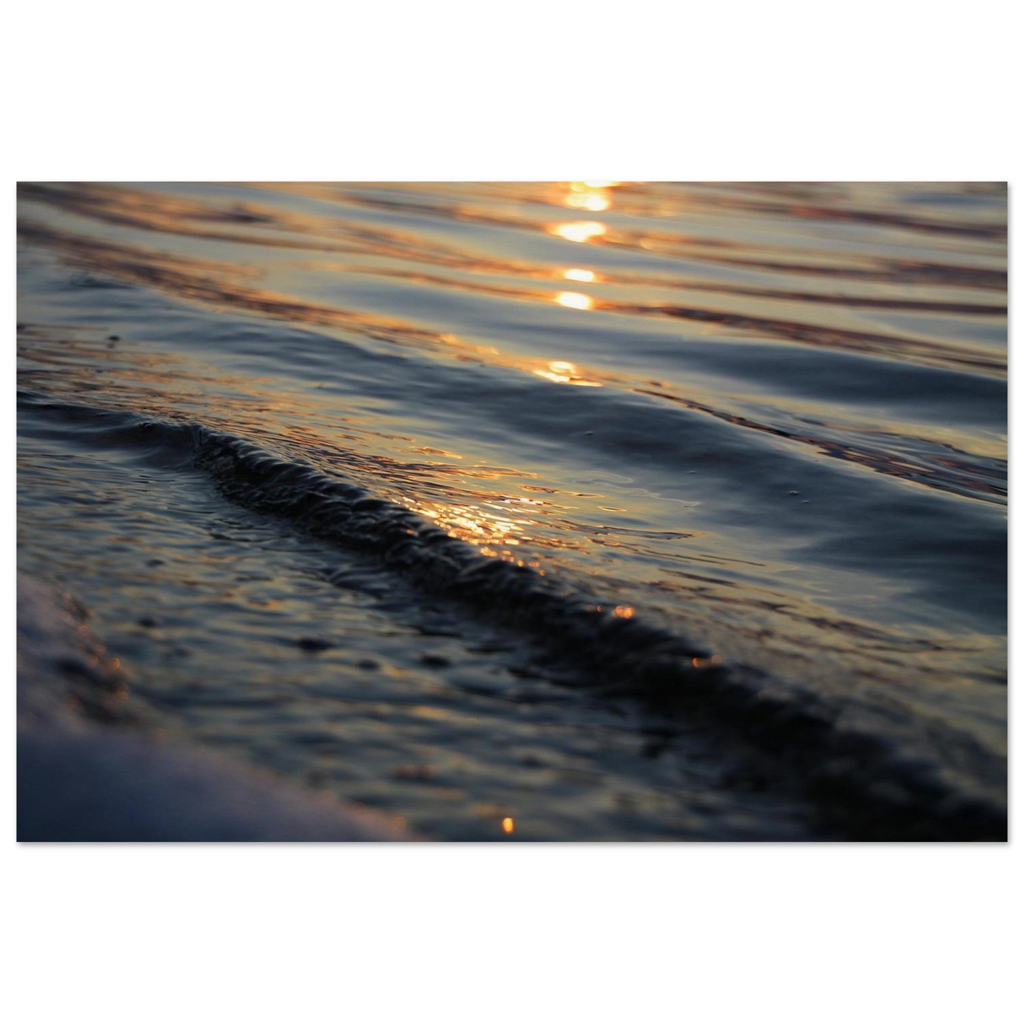 FLOW — Movement Prints