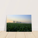 4af39d64-1065-4b47-bc67-a6dfe460cdc7