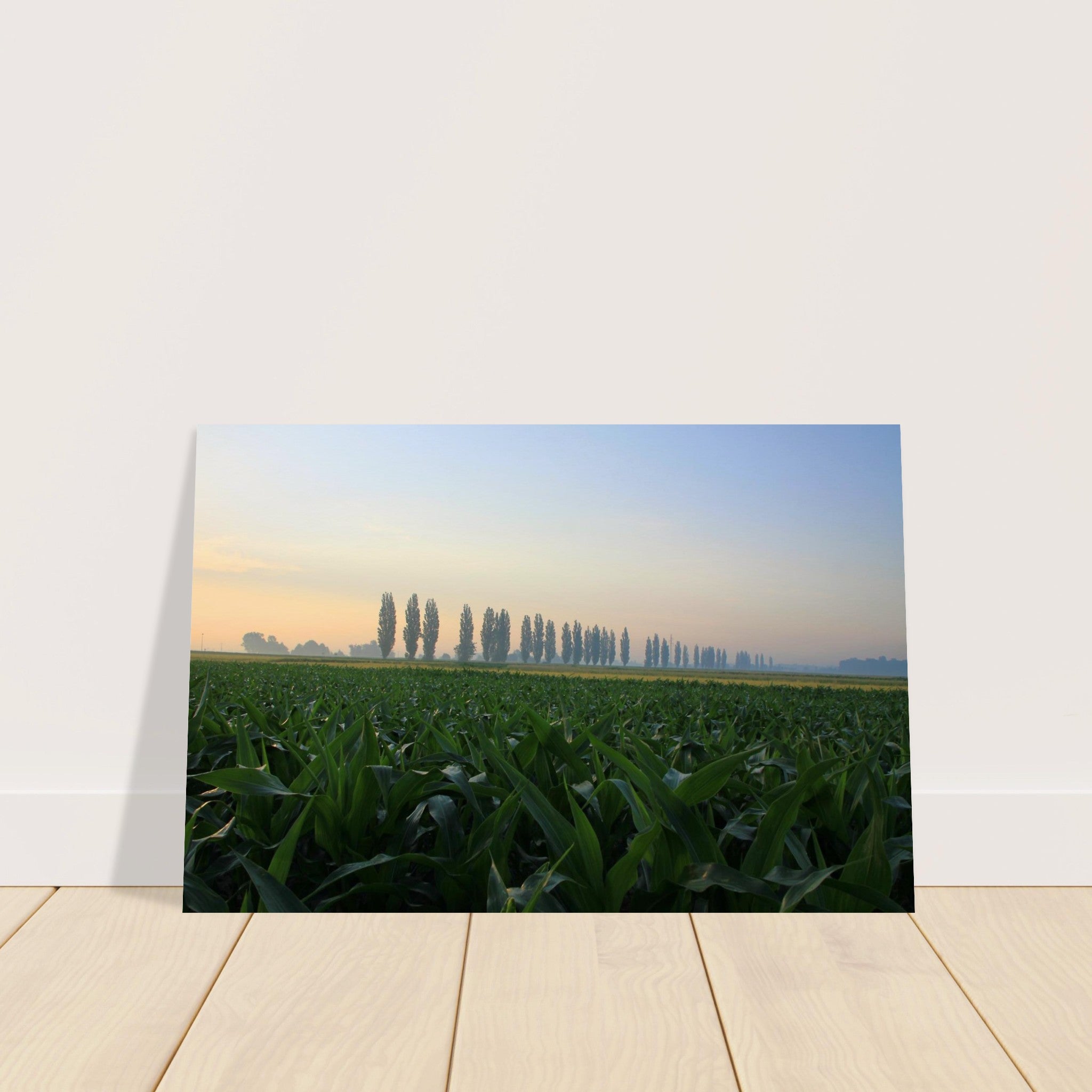 4af39d64-1065-4b47-bc67-a6dfe460cdc7