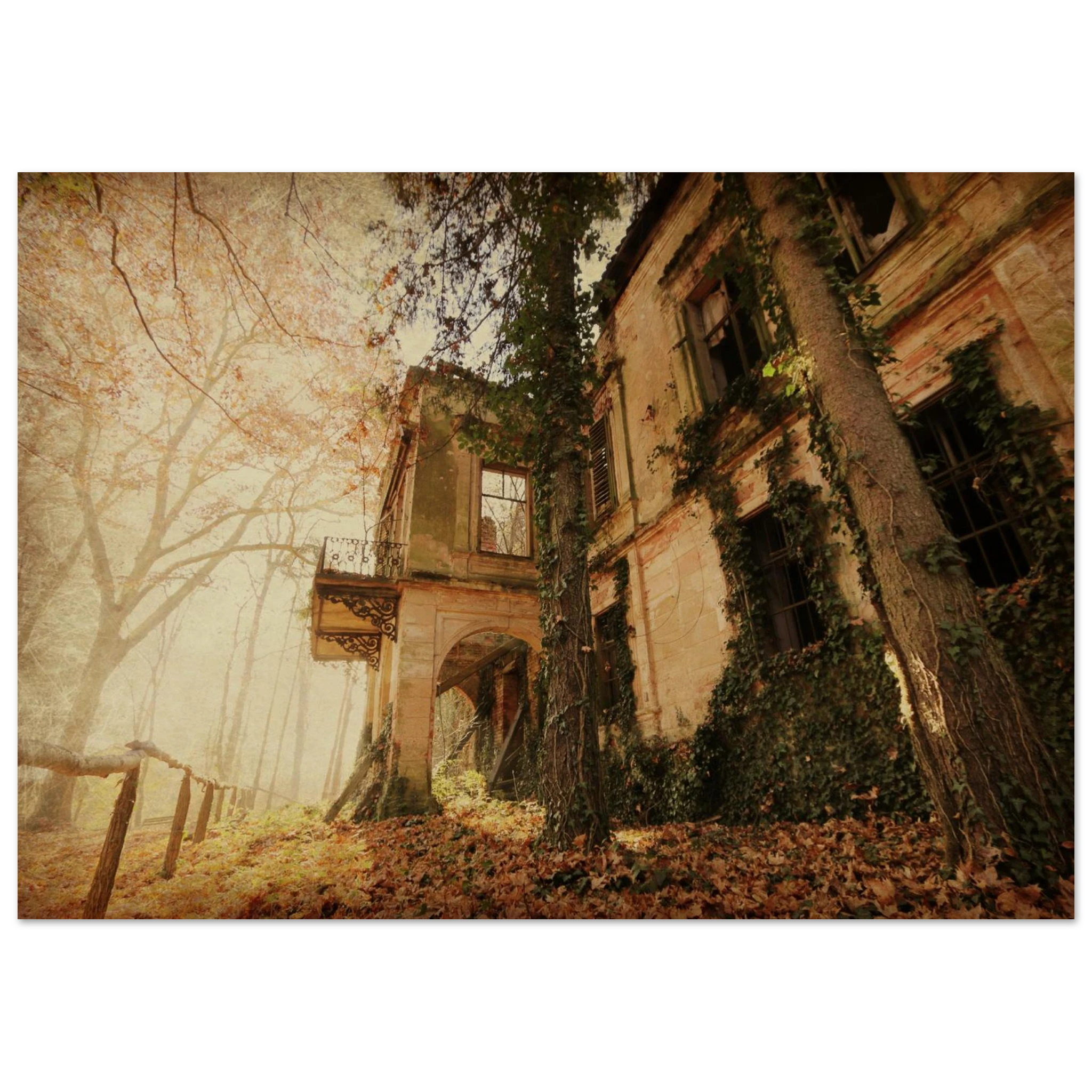 The Ivy House — Nature Fine Art Poster | BETVA Wall Art