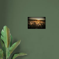 4c57ef6a-e8f6-4c8f-a8d0-bc5cb5906dd0