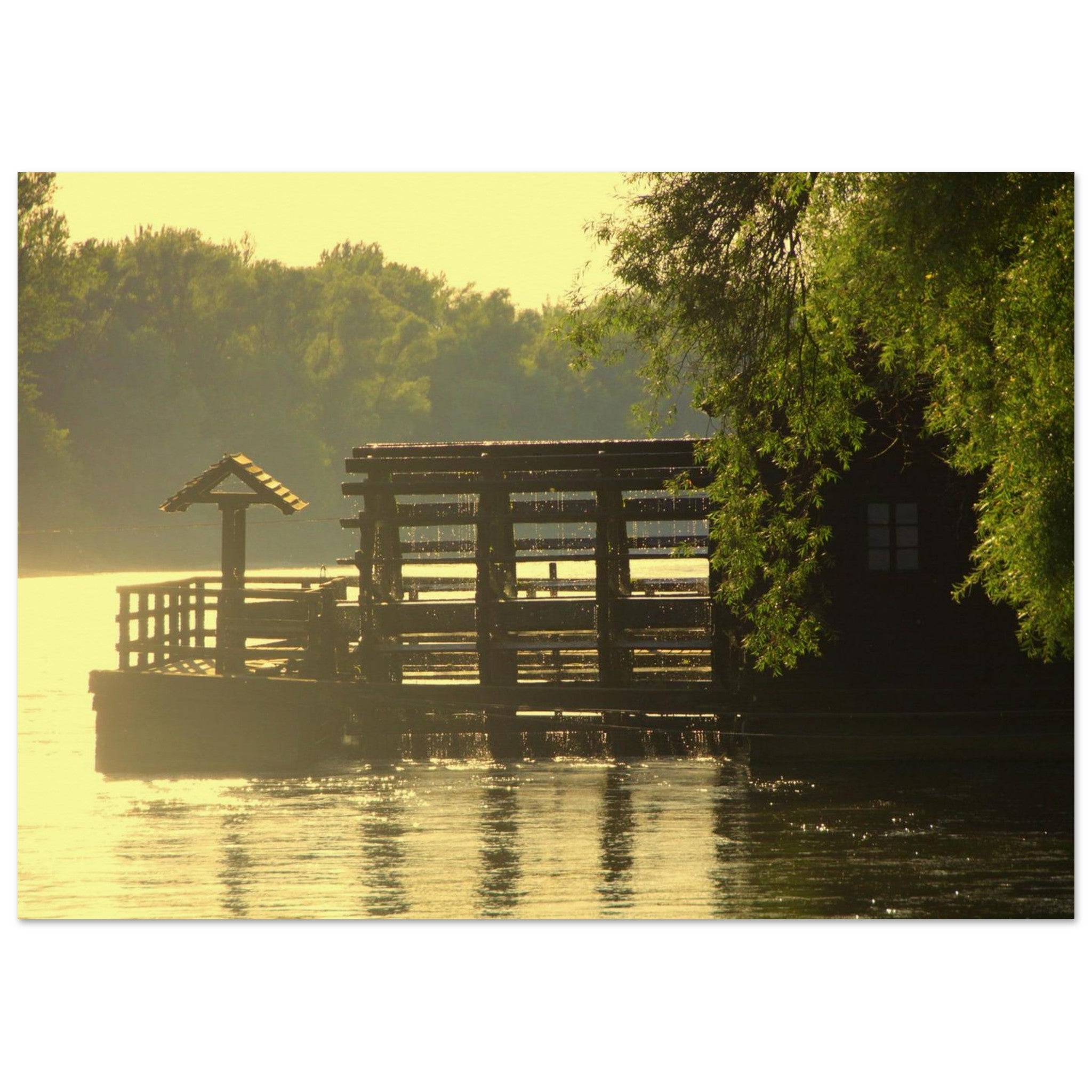 Mill Drifts in Morning Gold — Nature Fine Art Poster | BETVA Wall Art