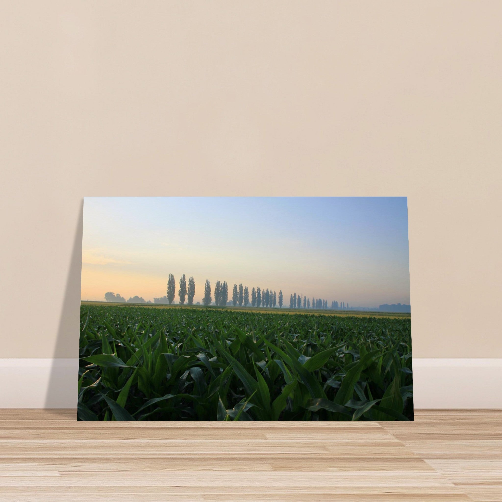 503a86fc-e5e3-4571-83e7-cd60314a34c4