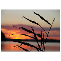 51f774dd-3856-4cb5-ae5d-f080844ef312