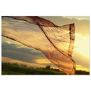 Wind-swept grasses creating a soft veil against warm sunset light over Prekmurje fields — BETVA fine art nature poster