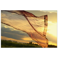 Wind-swept grasses creating a soft veil against warm sunset light over Prekmurje fields — BETVA fine art nature poster