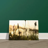 549d1c22-9388-4b94-941b-286cae131dbf