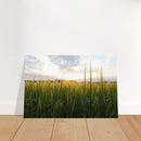 563f8f68-6eb1-4e98-9200-9a6e824e93b1