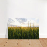 563f8f68-6eb1-4e98-9200-9a6e824e93b1