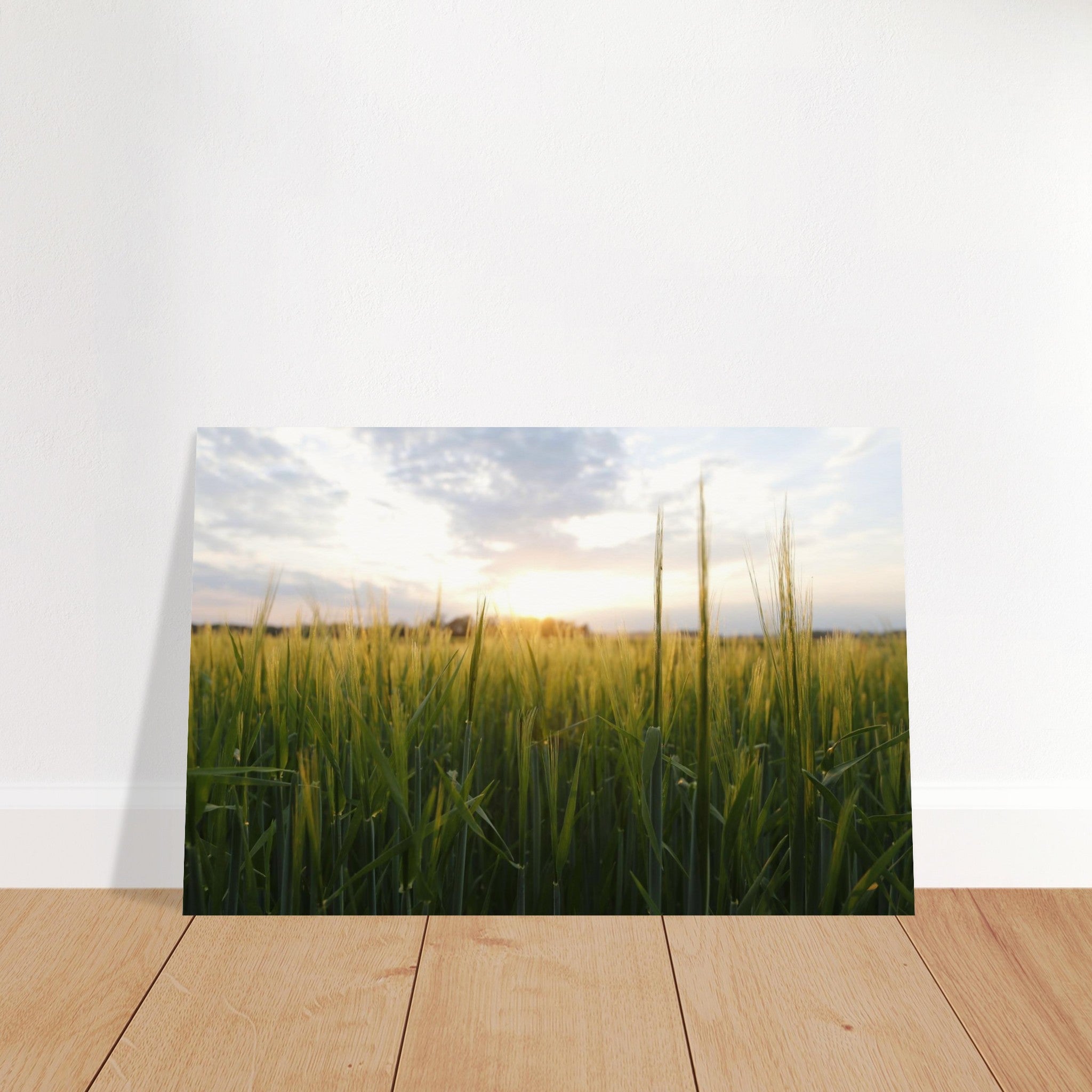 563f8f68-6eb1-4e98-9200-9a6e824e93b1