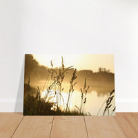 57b9ba78-ab78-497a-9cb8-c5dfec236c21