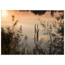 5a825d22-e37b-4af0-981b-051a8f9dbaae