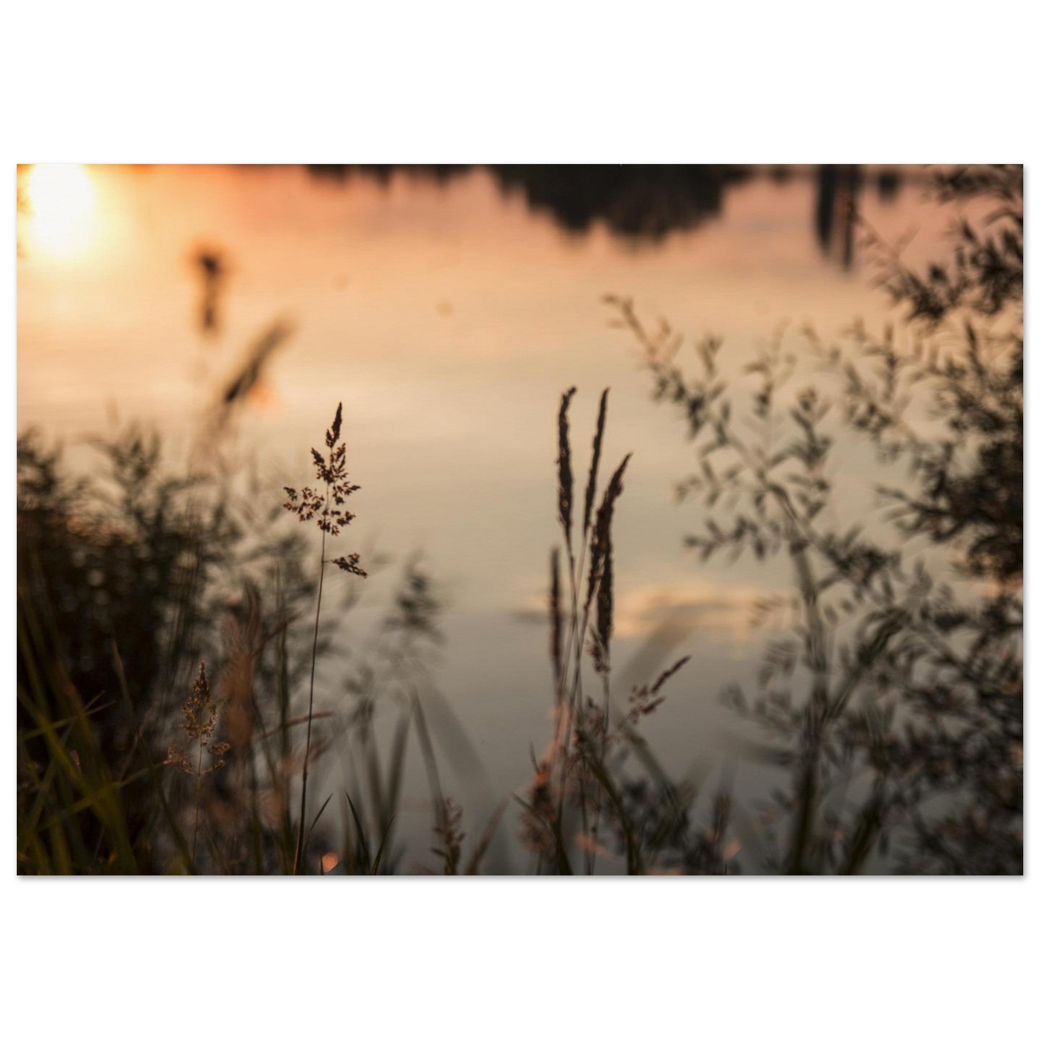 5a825d22-e37b-4af0-981b-051a8f9dbaae