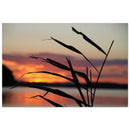 Dark reed blade silhouette curving against orange pink and violet sunset sky with water reflection in Prekmurje — BETVA fine art nature poster